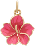 Hibiscus Charm