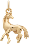 Horse Charm
