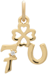 Luck Charm