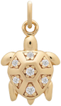 Turtle Charm